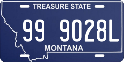 MT license plate 999028L