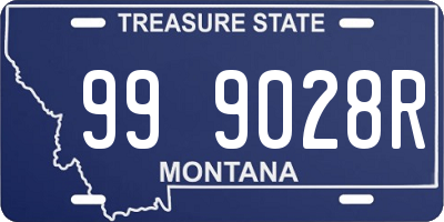 MT license plate 999028R