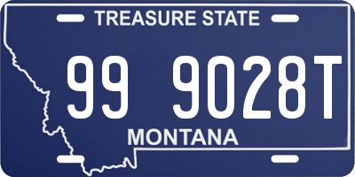 MT license plate 999028T
