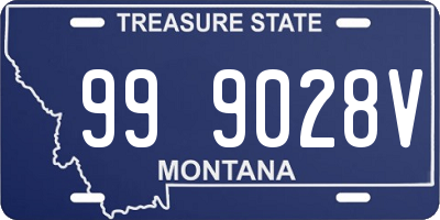 MT license plate 999028V