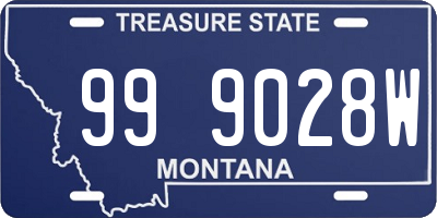 MT license plate 999028W