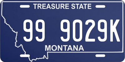 MT license plate 999029K