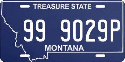 MT license plate 999029P