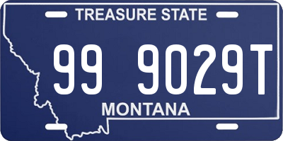 MT license plate 999029T