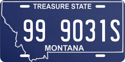 MT license plate 999031S