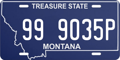 MT license plate 999035P