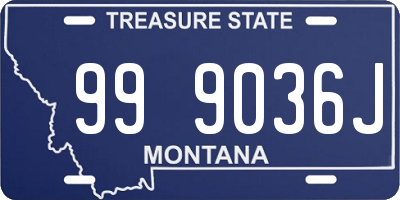 MT license plate 999036J