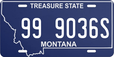 MT license plate 999036S