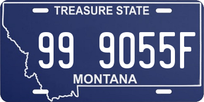 MT license plate 999055F