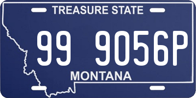 MT license plate 999056P