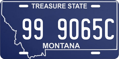 MT license plate 999065C