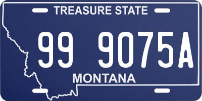 MT license plate 999075A