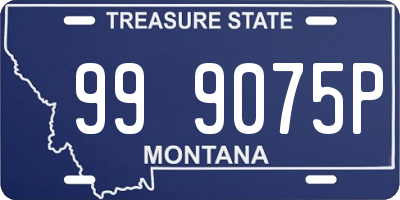 MT license plate 999075P