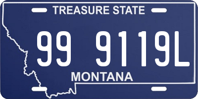 MT license plate 999119L