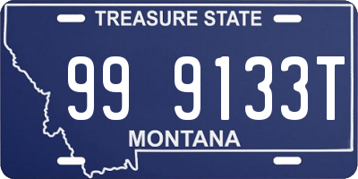 MT license plate 999133T