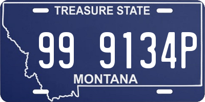 MT license plate 999134P