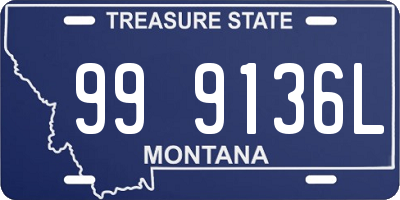 MT license plate 999136L