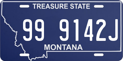 MT license plate 999142J