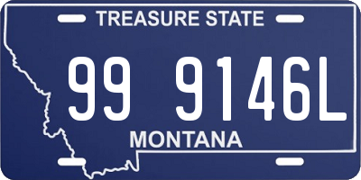 MT license plate 999146L