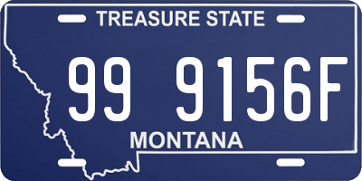 MT license plate 999156F