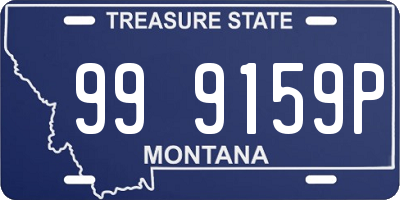 MT license plate 999159P