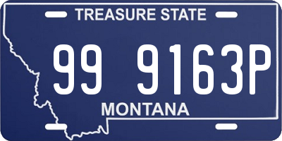 MT license plate 999163P