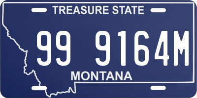 MT license plate 999164M