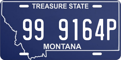 MT license plate 999164P