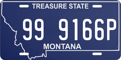 MT license plate 999166P