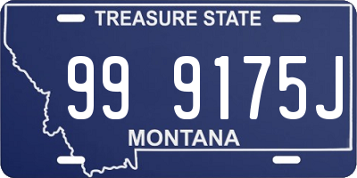 MT license plate 999175J