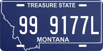 MT license plate 999177L