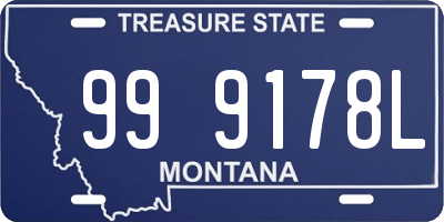 MT license plate 999178L