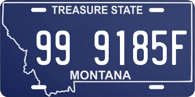 MT license plate 999185F