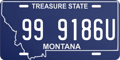 MT license plate 999186U