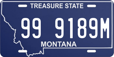 MT license plate 999189M