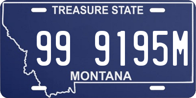 MT license plate 999195M