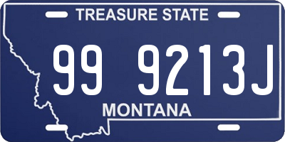 MT license plate 999213J