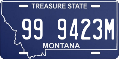 MT license plate 999423M