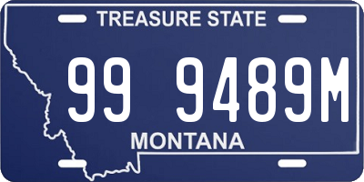 MT license plate 999489M