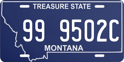 MT license plate 999502C
