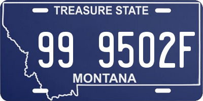 MT license plate 999502F