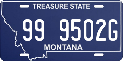 MT license plate 999502G