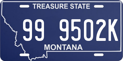 MT license plate 999502K