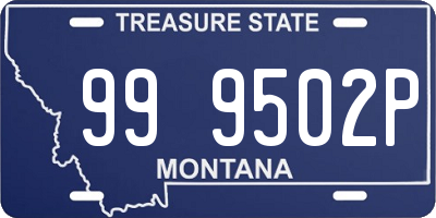 MT license plate 999502P