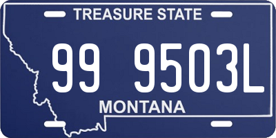 MT license plate 999503L