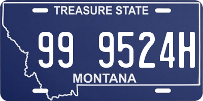 MT license plate 999524H