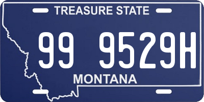 MT license plate 999529H