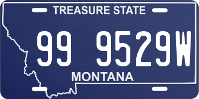 MT license plate 999529W