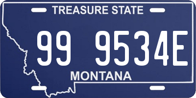 MT license plate 999534E