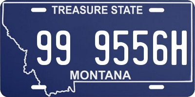 MT license plate 999556H